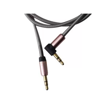 pioneer-aux-2